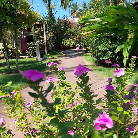 Hotel Casa Robinson 拉斯特拉纳斯 外观 照片