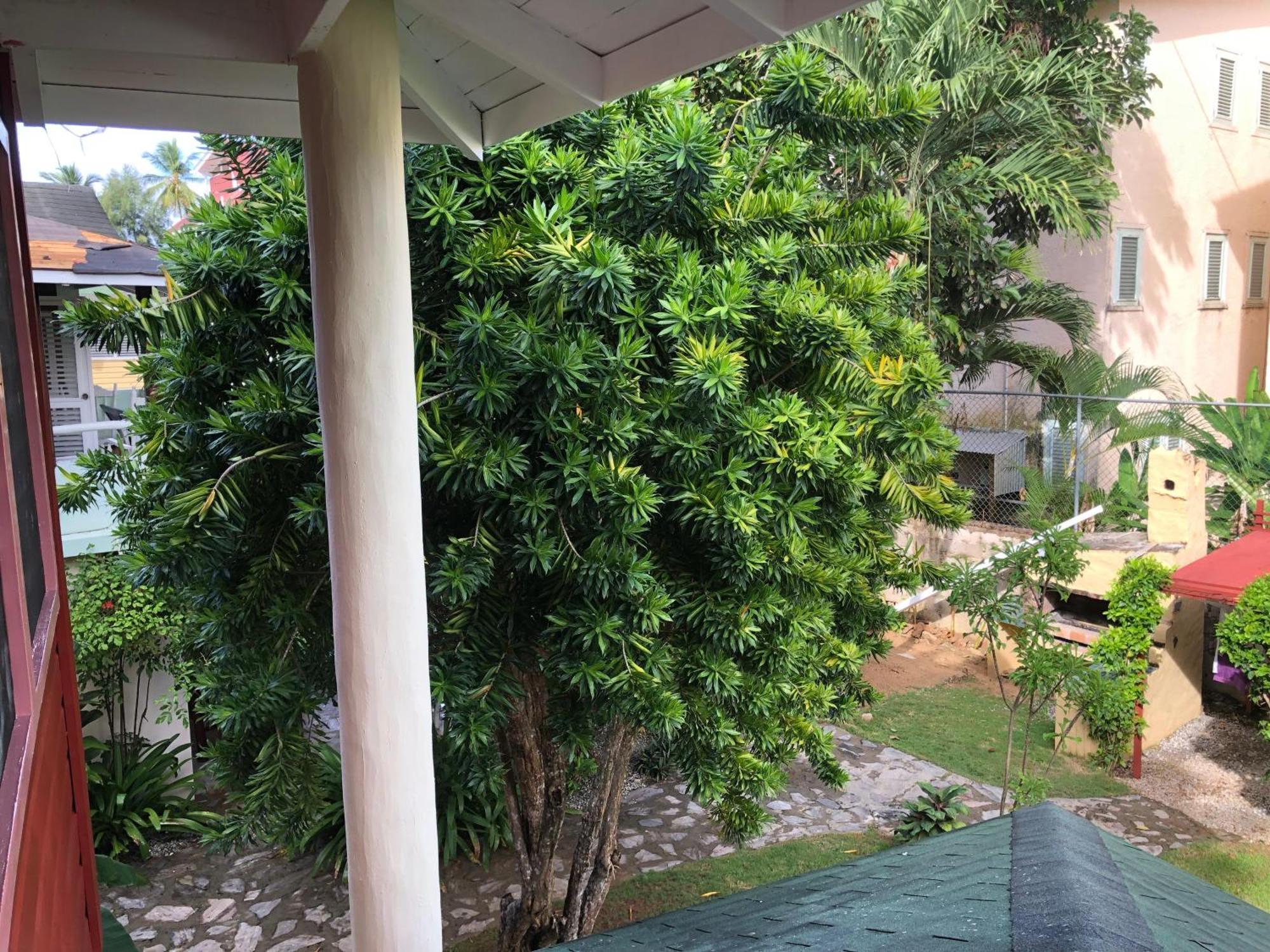 Hotel Casa Robinson 拉斯特拉纳斯 外观 照片